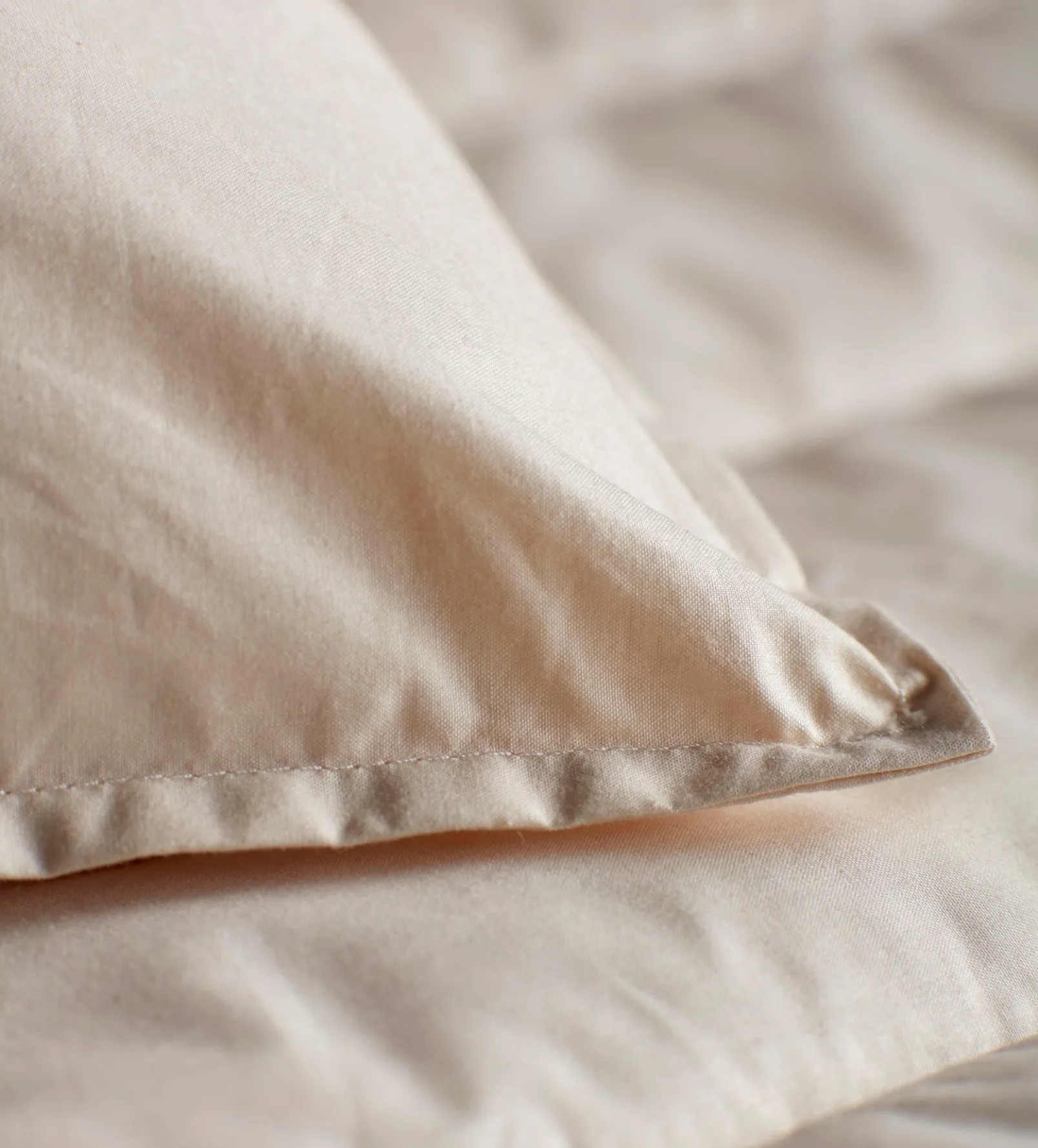 Baa Baa Bedtime Finest Wool Pillow