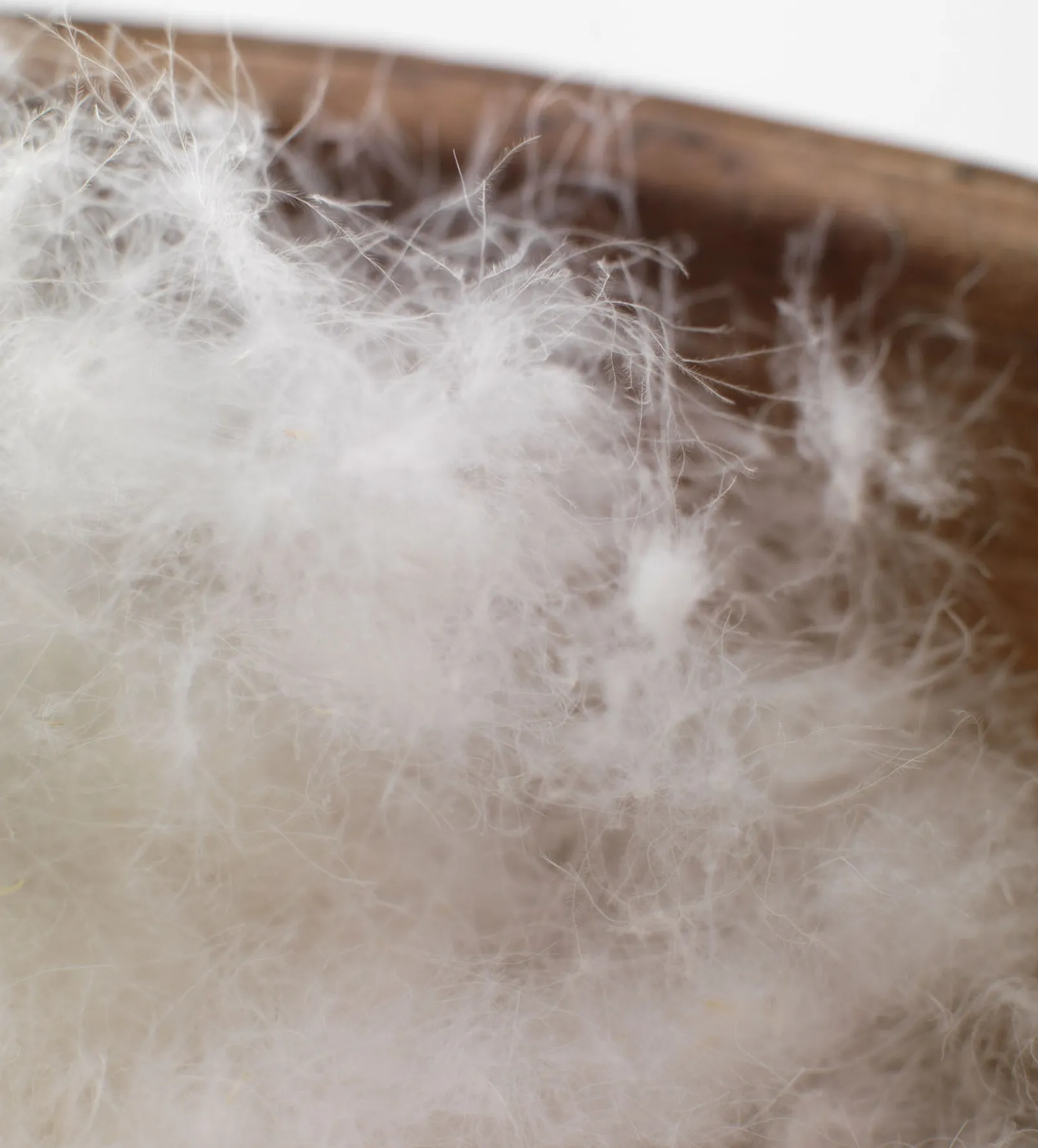 Divine Duck Pillow - 100% European Duck Down