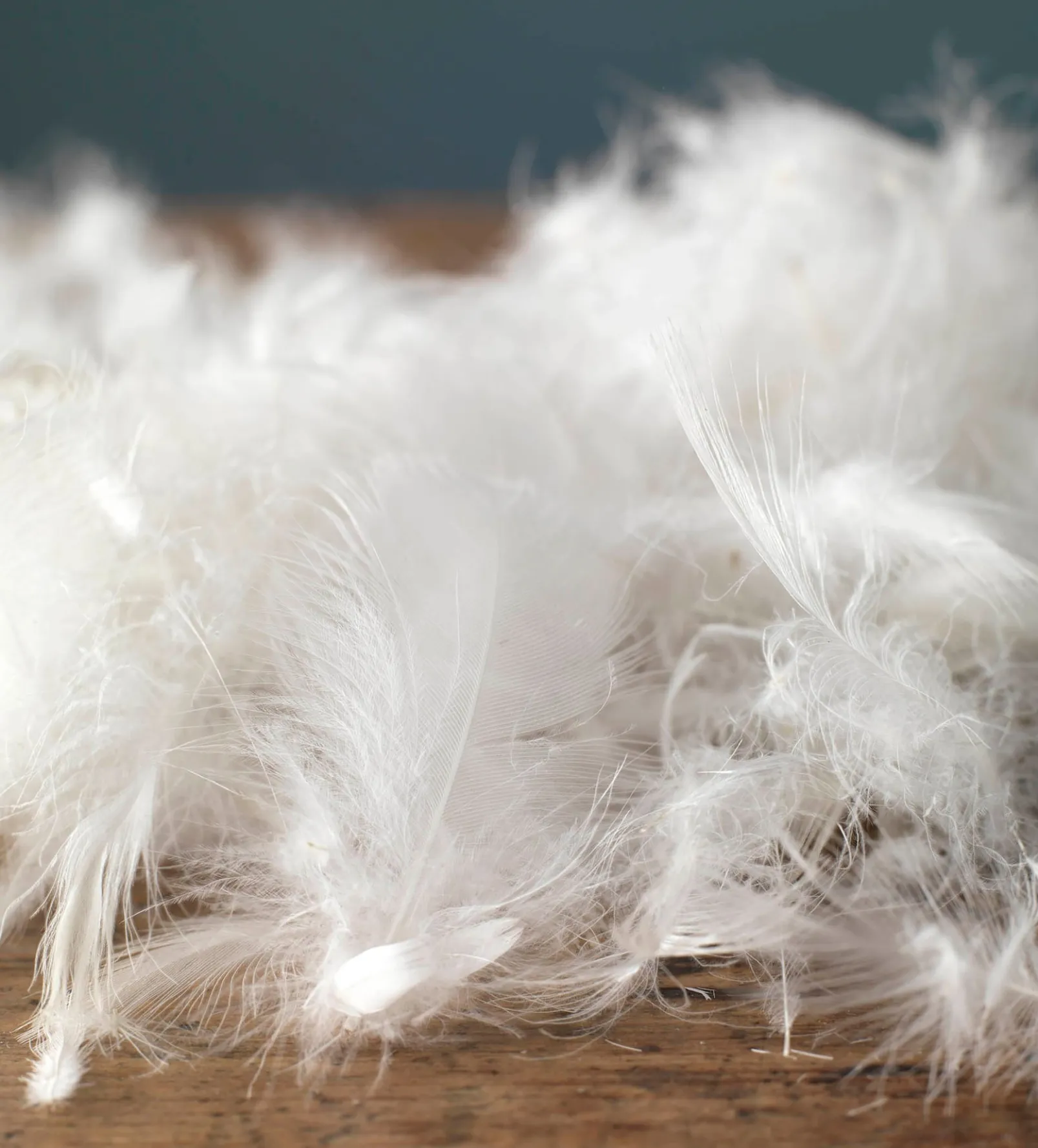 Great Goose Mattress Topper - Hungarian Goose Feather & Down